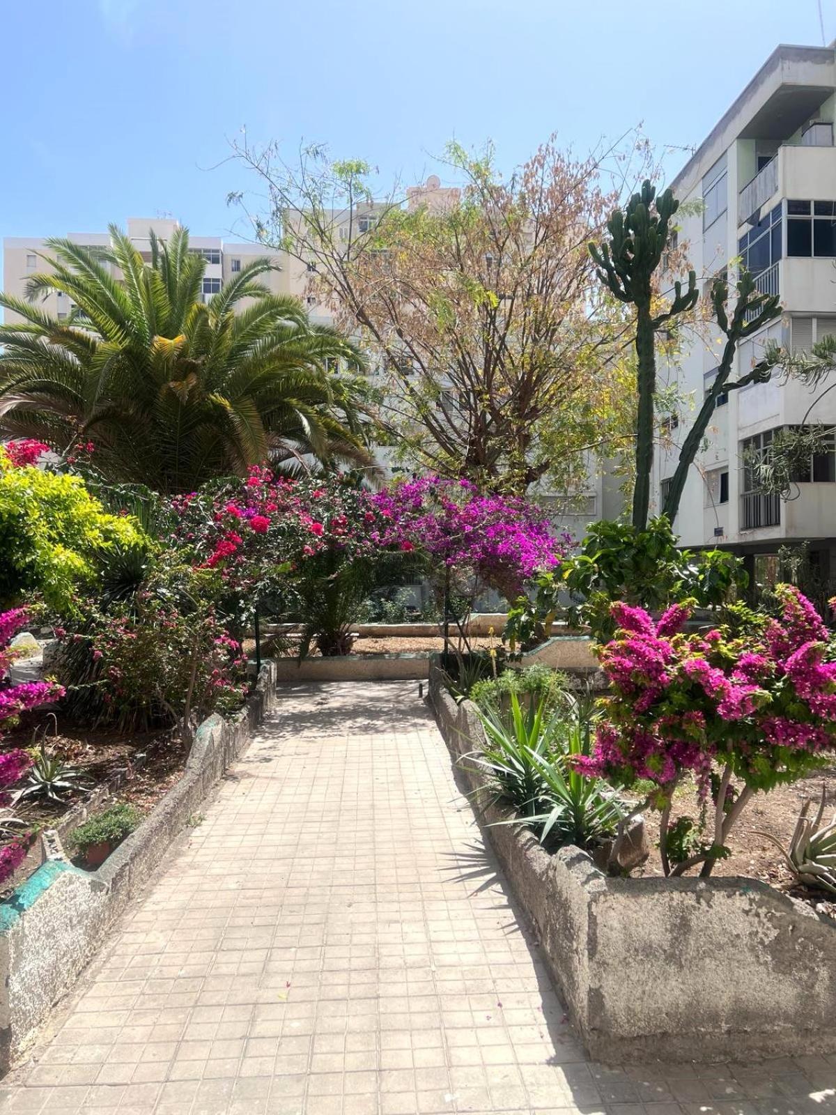 Relax Apartamento 7 Las Palmas / Gran Canaria Exterior foto